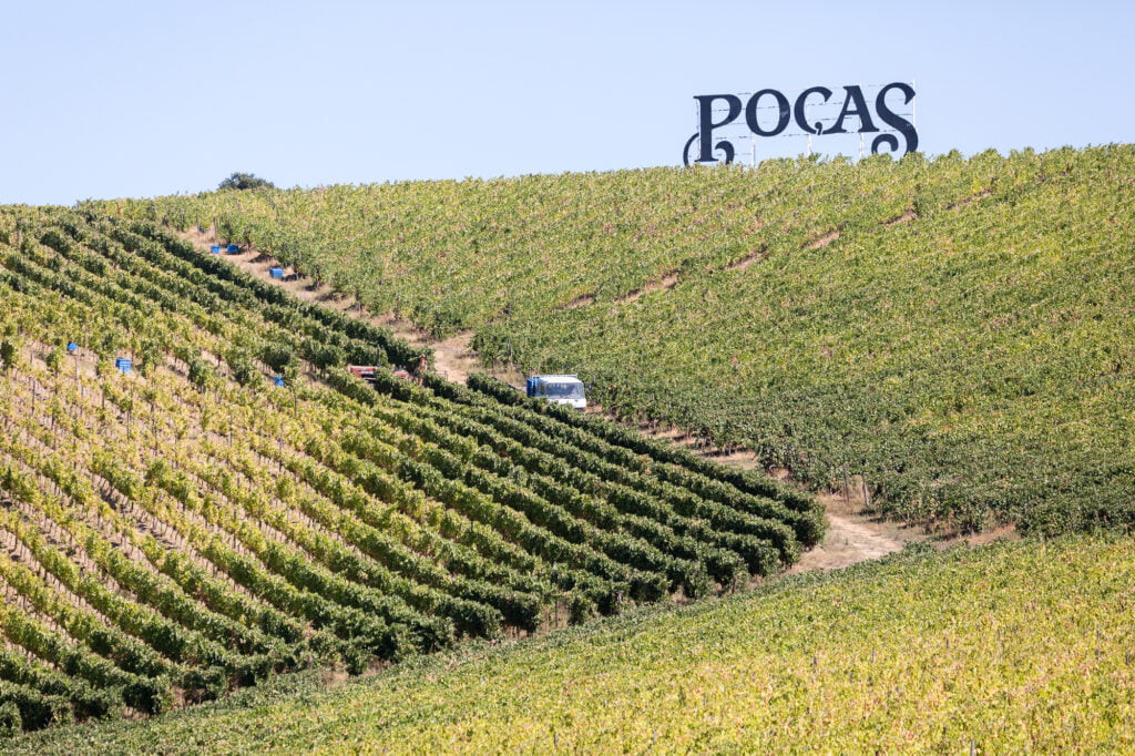 About-Page_Quintas-3-1024x682